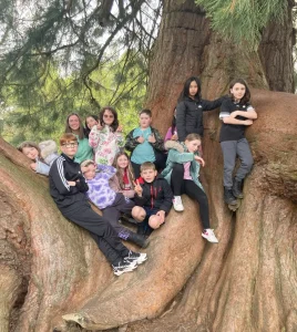 Group of young carers sitting on a branch of a tree