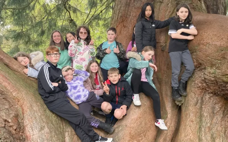 A day in the life of a young carer Group of young carers sitting on a branch of a tree