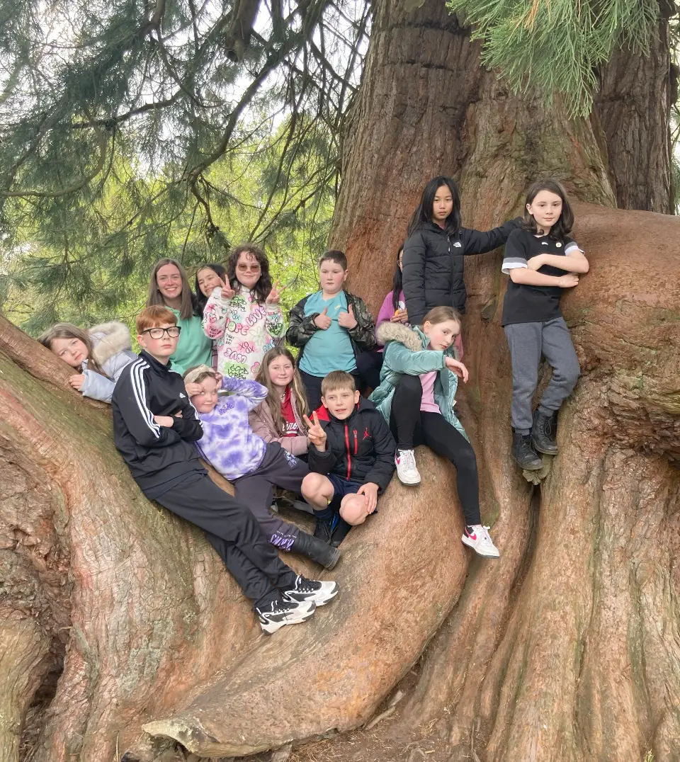 Group of young carers sitting on a branch of a tree